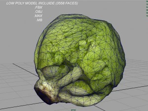 iceberg lettuce 3D Model
