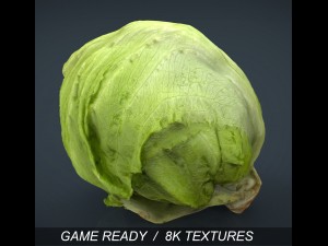 iceberg lettuce Modello 3D
