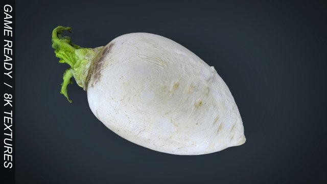 turnip 3D Model .c4d .max .obj .3ds .fbx .stl .blend 