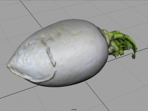 turnip 3D Model