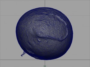 turnip 3D Model