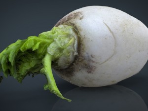 turnip 3D Model