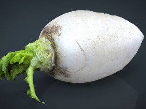 turnip 3D Model