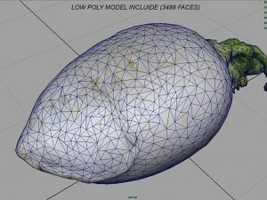 turnip 3D Model