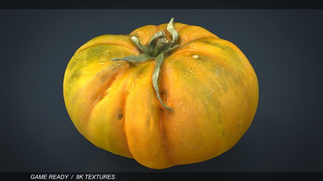 tomato 2 3D Model .c4d .max .obj .3ds .fbx .stl .blend 