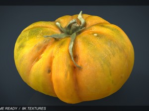 tomato 2 3D Model