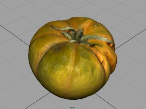 tomato 2 3D Model