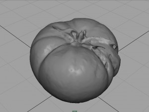 tomato 2 3D Model