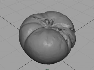 tomato 2 3D Model