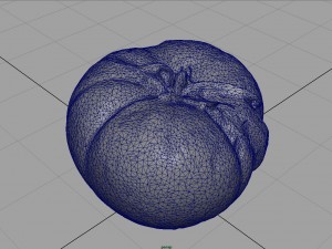 tomato 2 3D Model