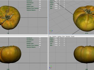 tomato 2 3D Model