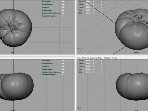 tomato 2 3D Model