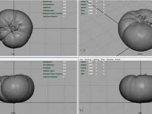 tomato 2 3D Model