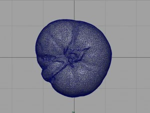 tomato 2 3D Model