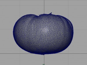 tomato 2 3D Model