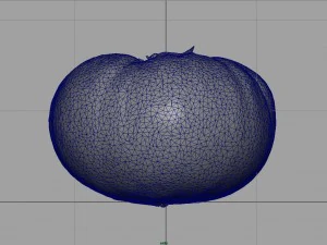 tomato 2 3D Model