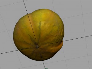 tomato 2 3D Model
