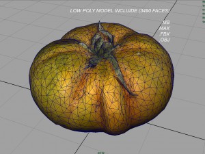 tomato 2 3D Model