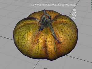 tomato 2 3D Model