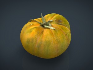 tomato 2 3D Model