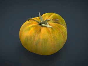 tomato 2 3D Model