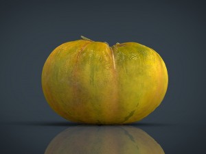 tomato 2 3D Model