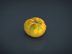 tomato 2 3D Model