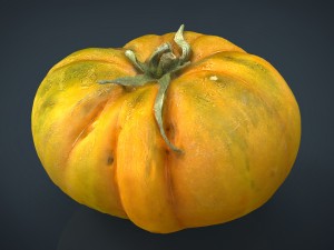tomato 2 3D Model