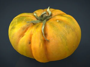 tomato 2 3D Model