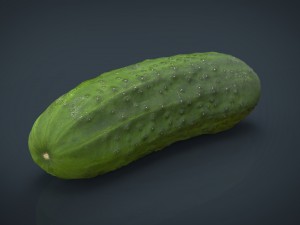 cucumber 3D Model