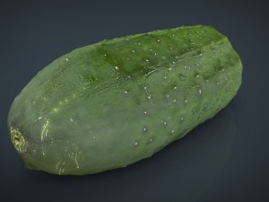 cucumber Modèle 3D