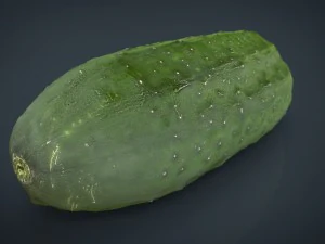 cucumber 3D Model