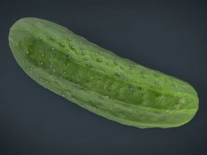 cucumber 3D Model