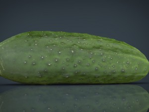 cucumber Modèle 3D