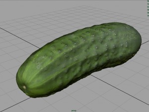 cucumber Modèle 3D