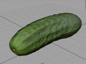 cucumber 3D Model