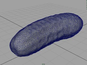 cucumber 3D Model