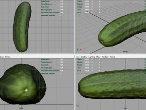 cucumber Modèle 3D