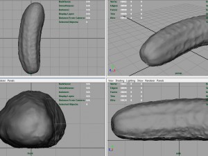 cucumber Modèle 3D