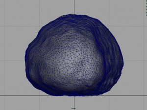 cucumber Modèle 3D