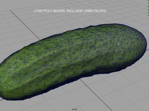 cucumber 3D Model