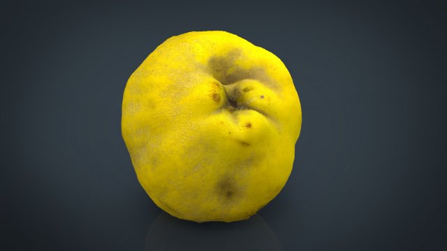 grapefruit 3D-Modell .c4d .max .obj .3ds .fbx .stl .blend 