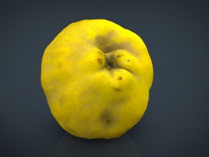 grapefruit 3D Model
