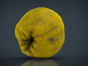 grapefruit 3D-Modell