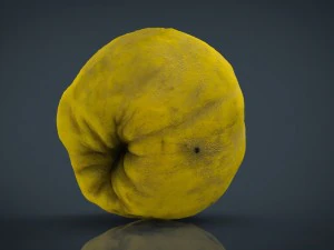 toranja Modelo 3D