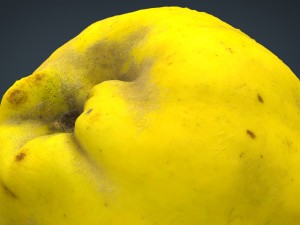 grapefruit 3D-Modell