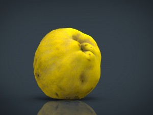 grapefruit 3D-Modell