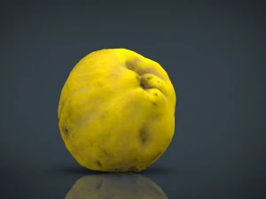toranja Modelo 3D
