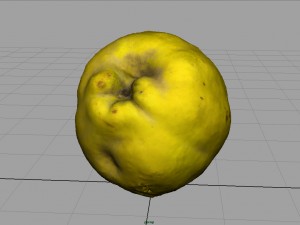 grapefruit 3D-Modell