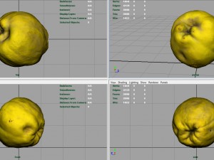 grapefruit 3D-Modell